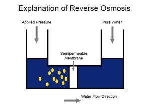 explanation of pure water osmosis